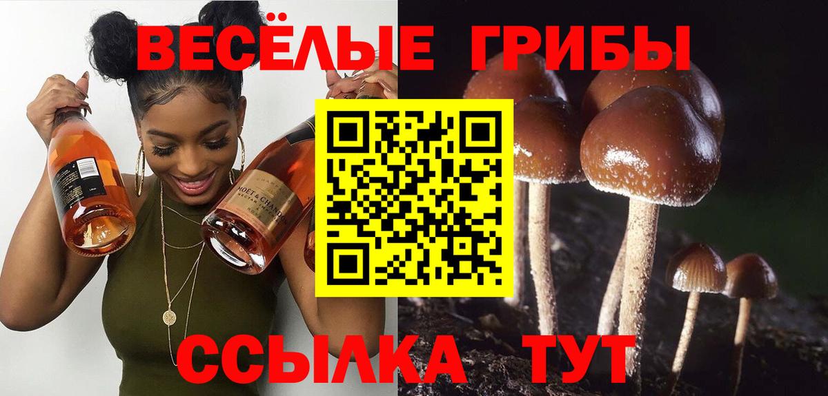 Псилоцибиновые грибы мицелий  Псилоцибиновые грибы Magic Shrooms  Вход с VPN  Добрянка 